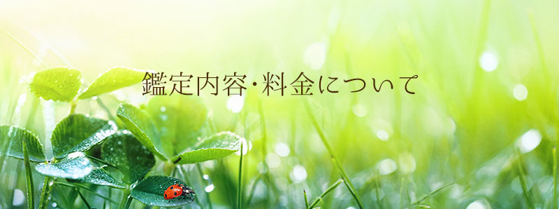 運の流れを掴む