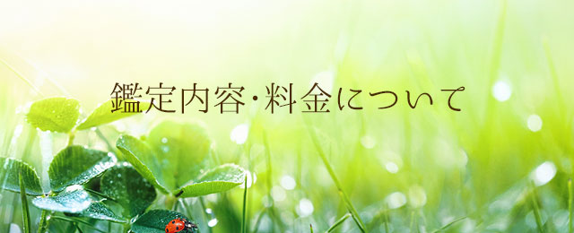 運の流れを掴む