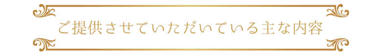 ご提供させていただいている主な内容