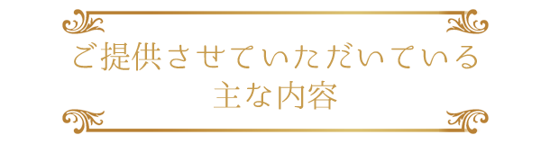 ご提供させていただいている主な内容
