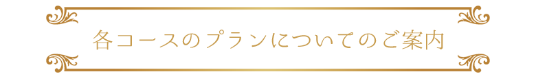 各コースのプランについてのご案内