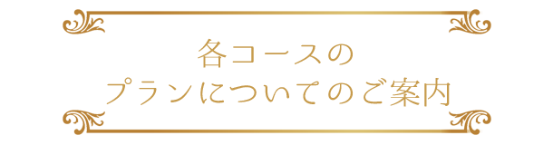 各コースのプランについてのご案内
